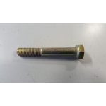 018572 BULLONE GIUNTO (APE CAR-TM DIESEL)