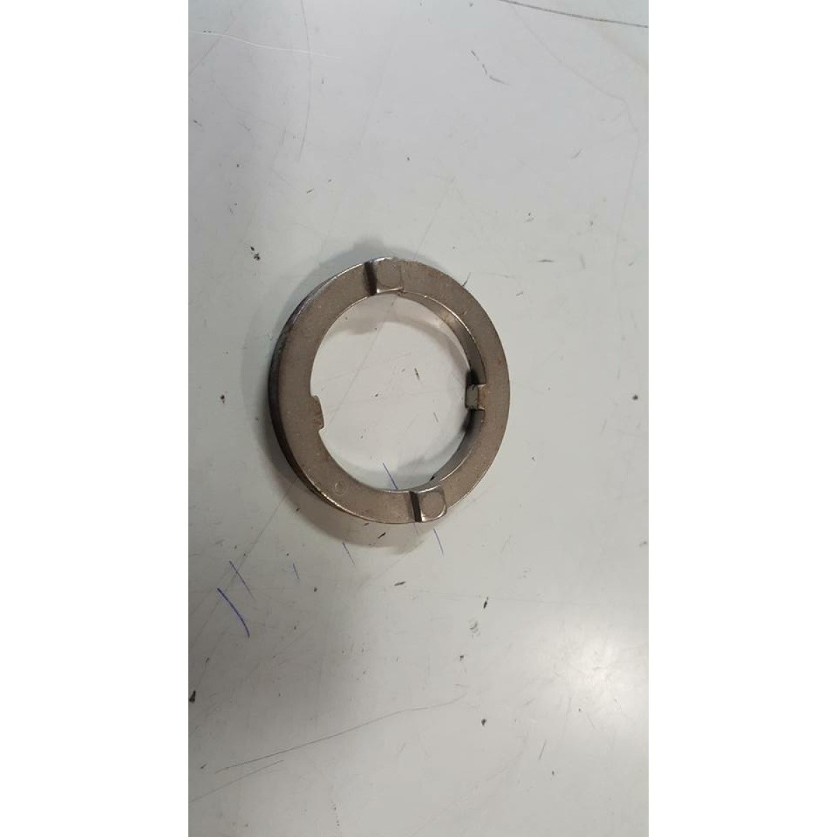 229570 RONDELLA STERZO (COSA) - immagine 1
