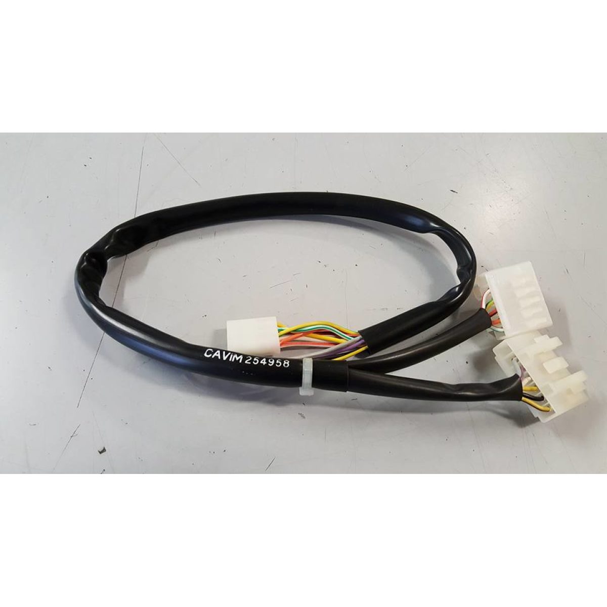 254958 GRUPPO CAVETTI (COSA) - immagine 1