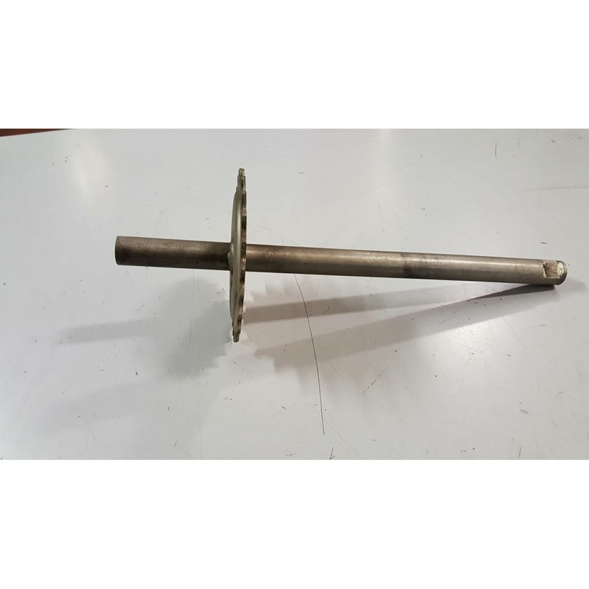 239655 ALBERO PEDIVELLE (GRILLO KS) - immagine 1