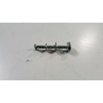 253611 PERNO FIANCATINA (GRILLO)