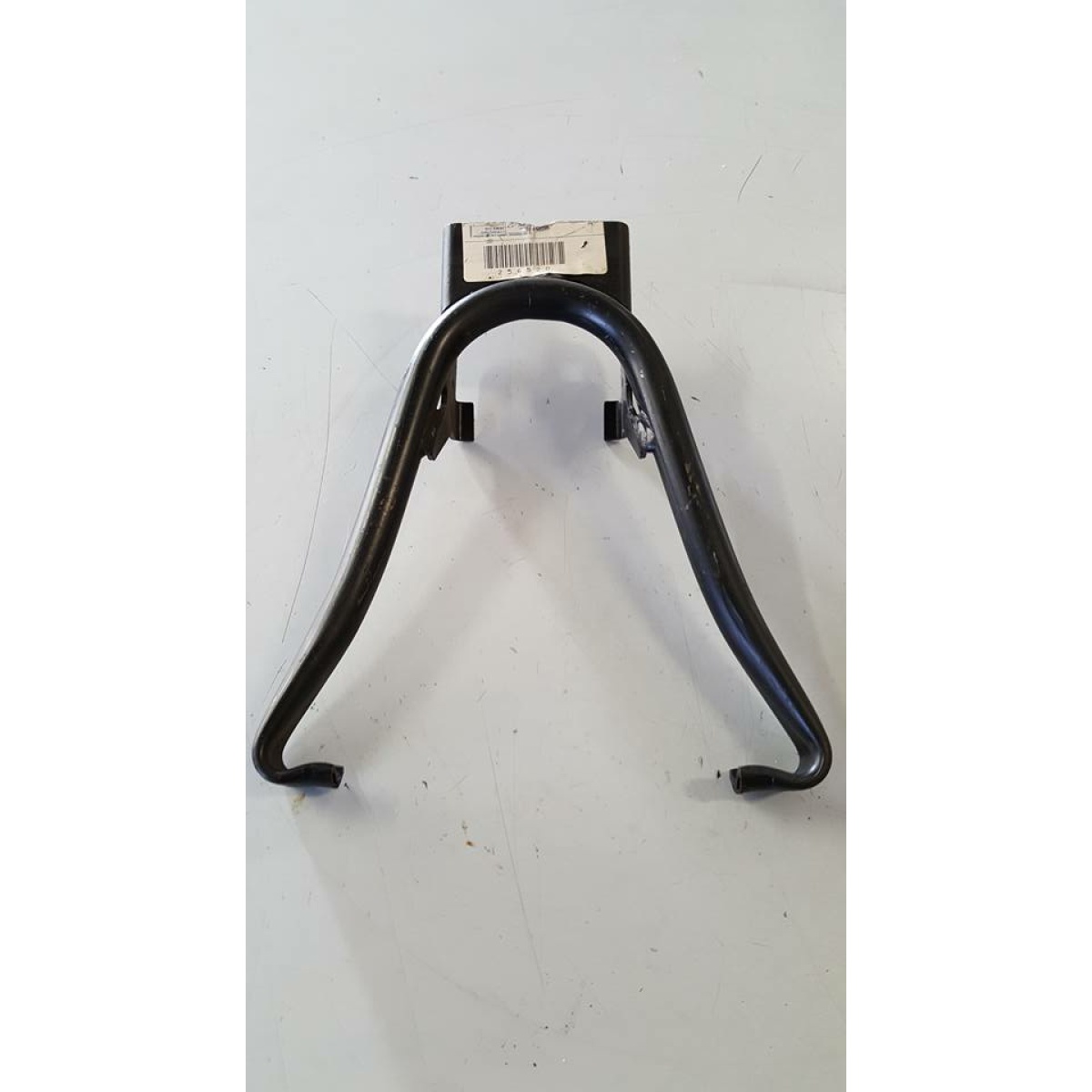 256520T CAVALLETTO (GRILLO) - immagine 1