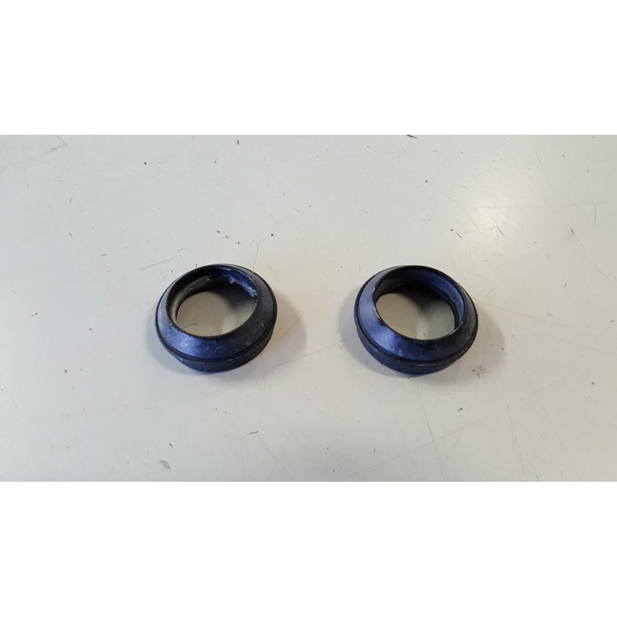 272441 PARAOLIO FORCELLA (NRG) - immagine 1