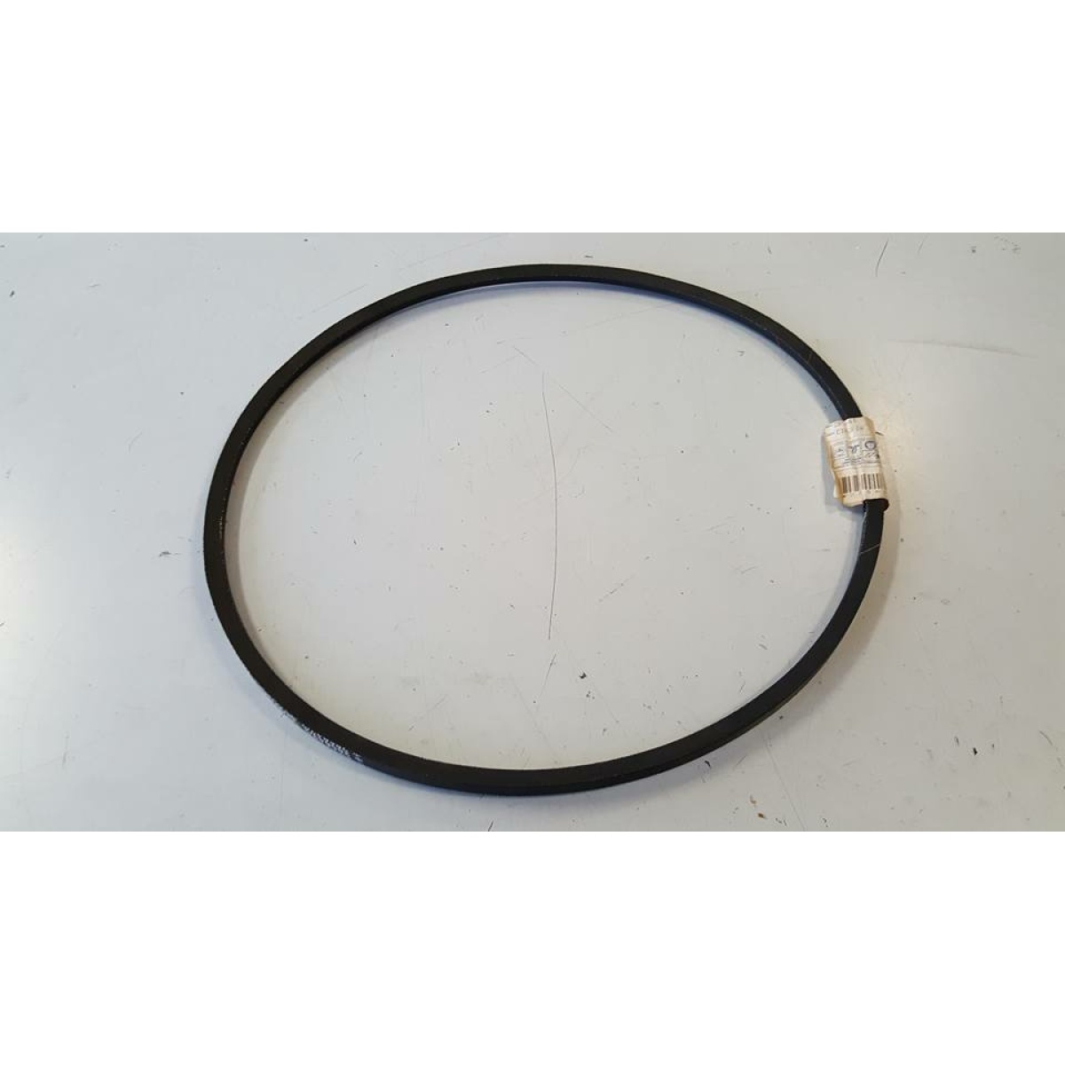 285643 CINGHIA (GRILLO MONO) - immagine 1