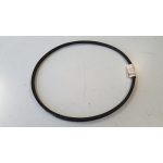 285643 CINGHIA (GRILLO MONO)