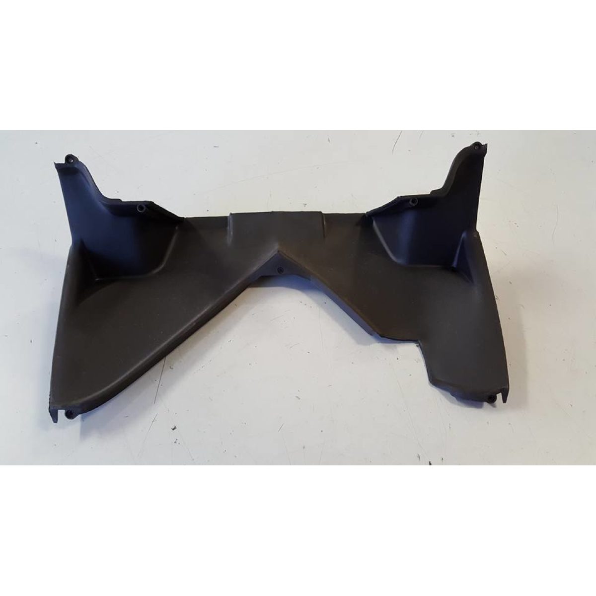 463853 PROTEZIONE RADIATORE (NRG) - immagine 1