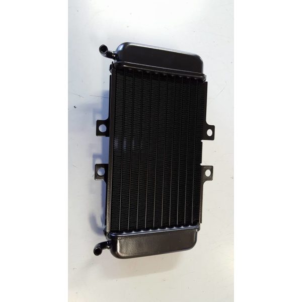 463865 RADIATORE (NRG)
