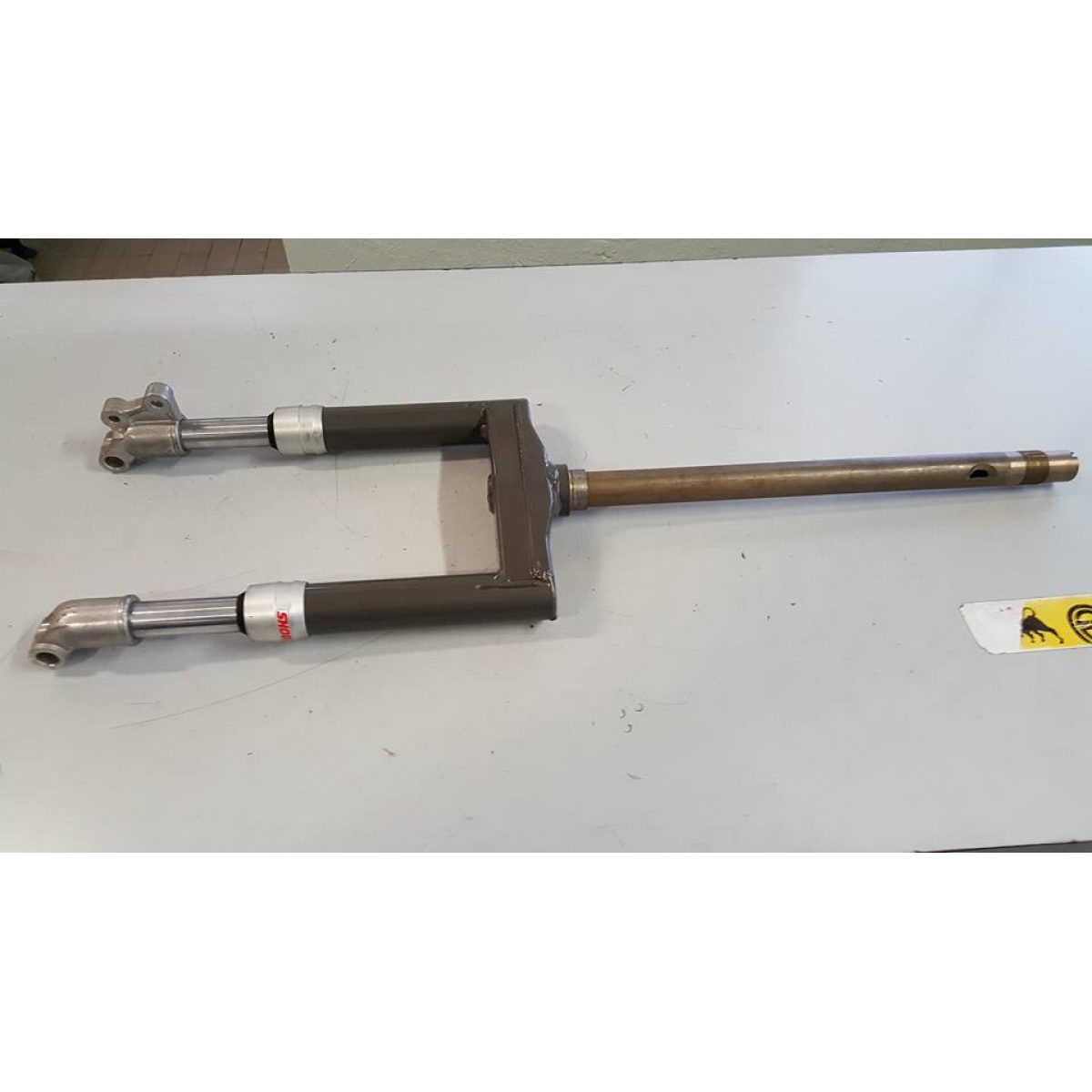 560928 FORCELLA (NRG) - immagine 1