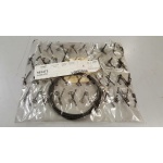 582473 CAVETTO CONTAKM. (FREE PT)