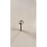 599208 VITE PINZA FRENO (GP 800)