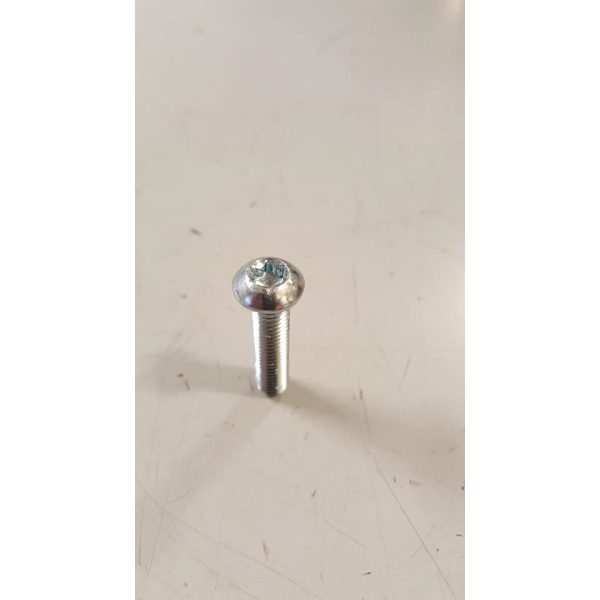 599208 VITE PINZA FRENO (GP 800)