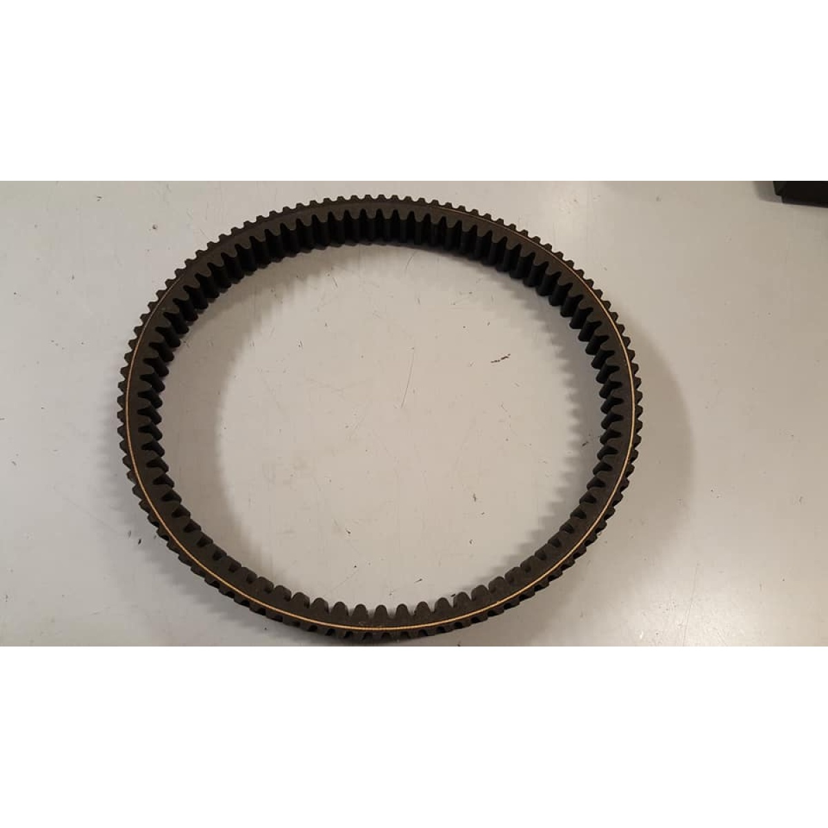 845010 CINGHIA TRASMISSIONE (GP 800) - immagine 1