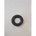 145597 PARAOLIO VOLANO (APE MP)