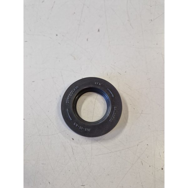 145597 PARAOLIO VOLANO (APE MP)