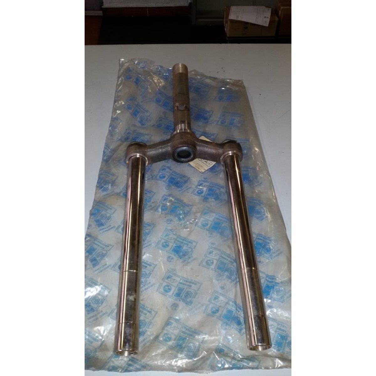 1986804 FORCELLA NUDA (SI) - immagine 1
