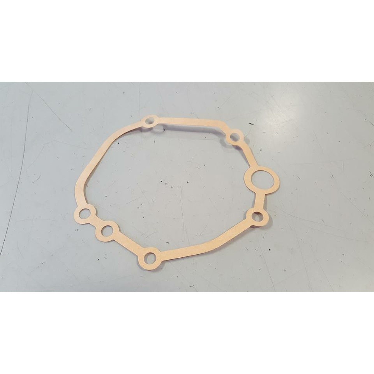 435269 GUARNIZIONE CARTER MOZZO POST. (VELOFAX) - immagine 1