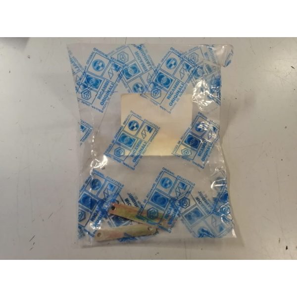 463973 PIASTRINA (NRG)