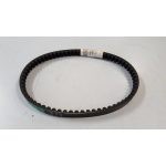 499072 CINGHIA (SCATTO)