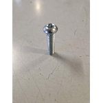 599208 VITE PINZA FRENO (GP 800)