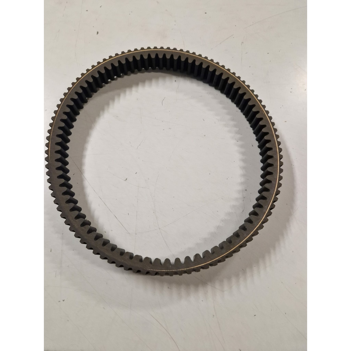 845010 CINGHIA VARIATORE (GP 800) - immagine 1