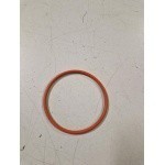 493010 ANELLO O.R. SUPPORTO TERMOSTATO (PORTER 1.4 DIESEL)