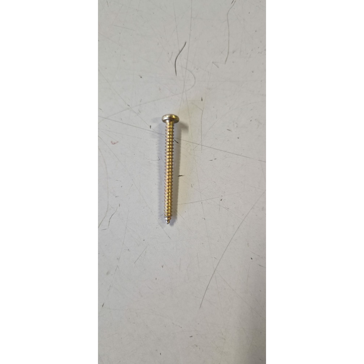 018514 VITE FANALINO POSTERIORE (APE TM) - immagine 1