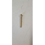 018514 VITE FANALINO POSTERIORE (APE TM)