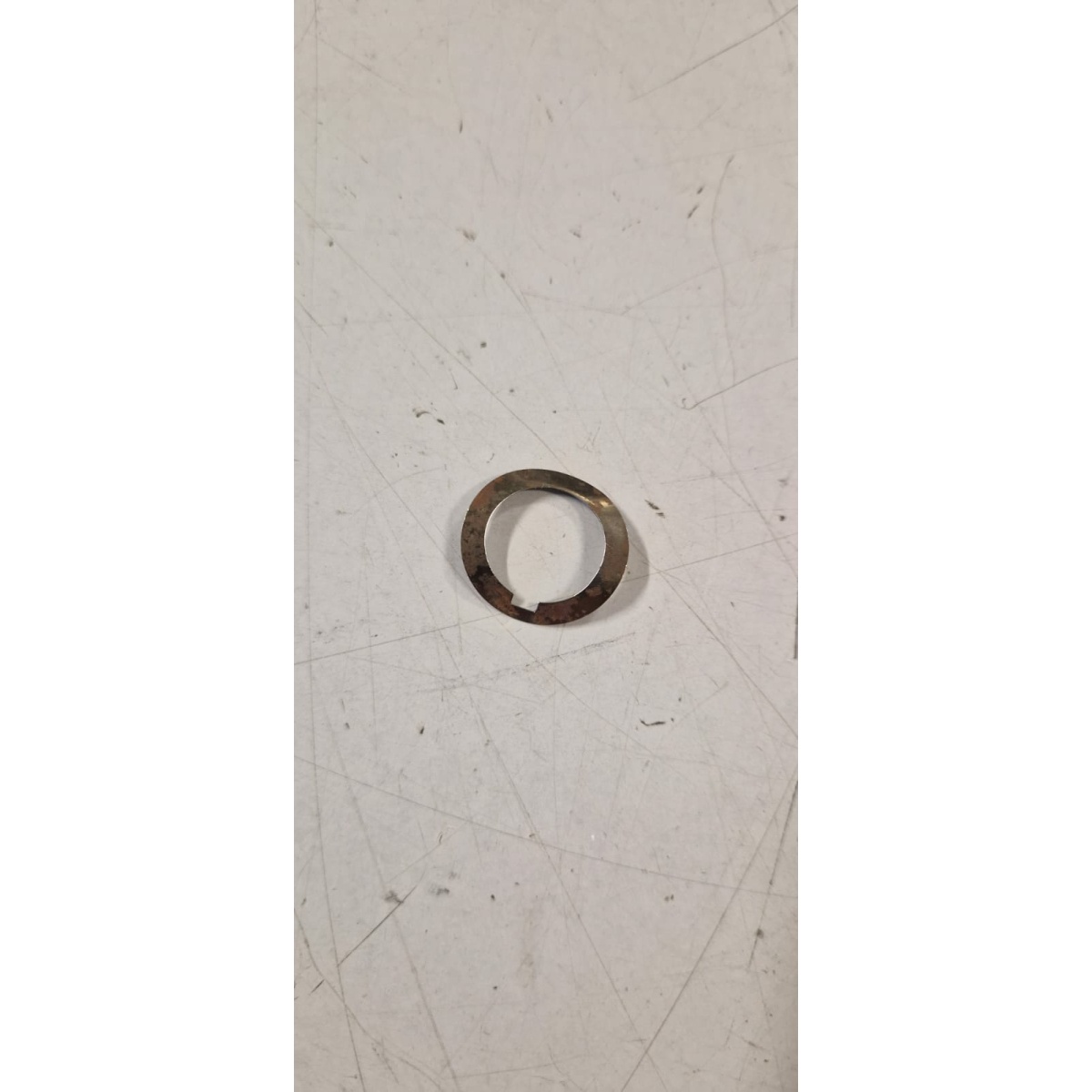 102943 ANELLO ELASTICO (CIAO) - immagine 1