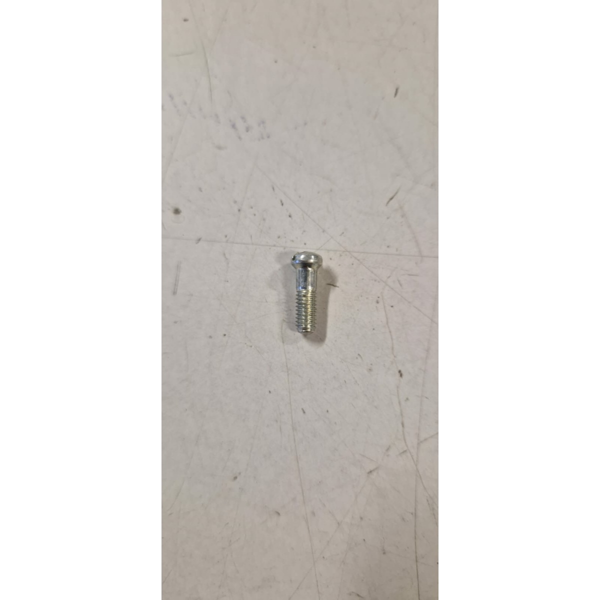 123391 VITE PATTINO ACCELERATORE (CIAO) - immagine 1