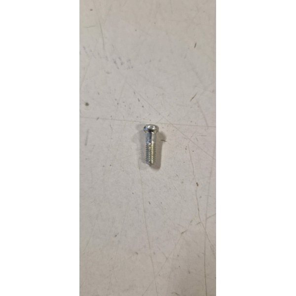 123391 VITE PATTINO ACCELERATORE (CIAO)