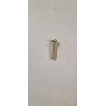 015597 VITE FISSAGGIO FARO (VESPA 50 XL-N)