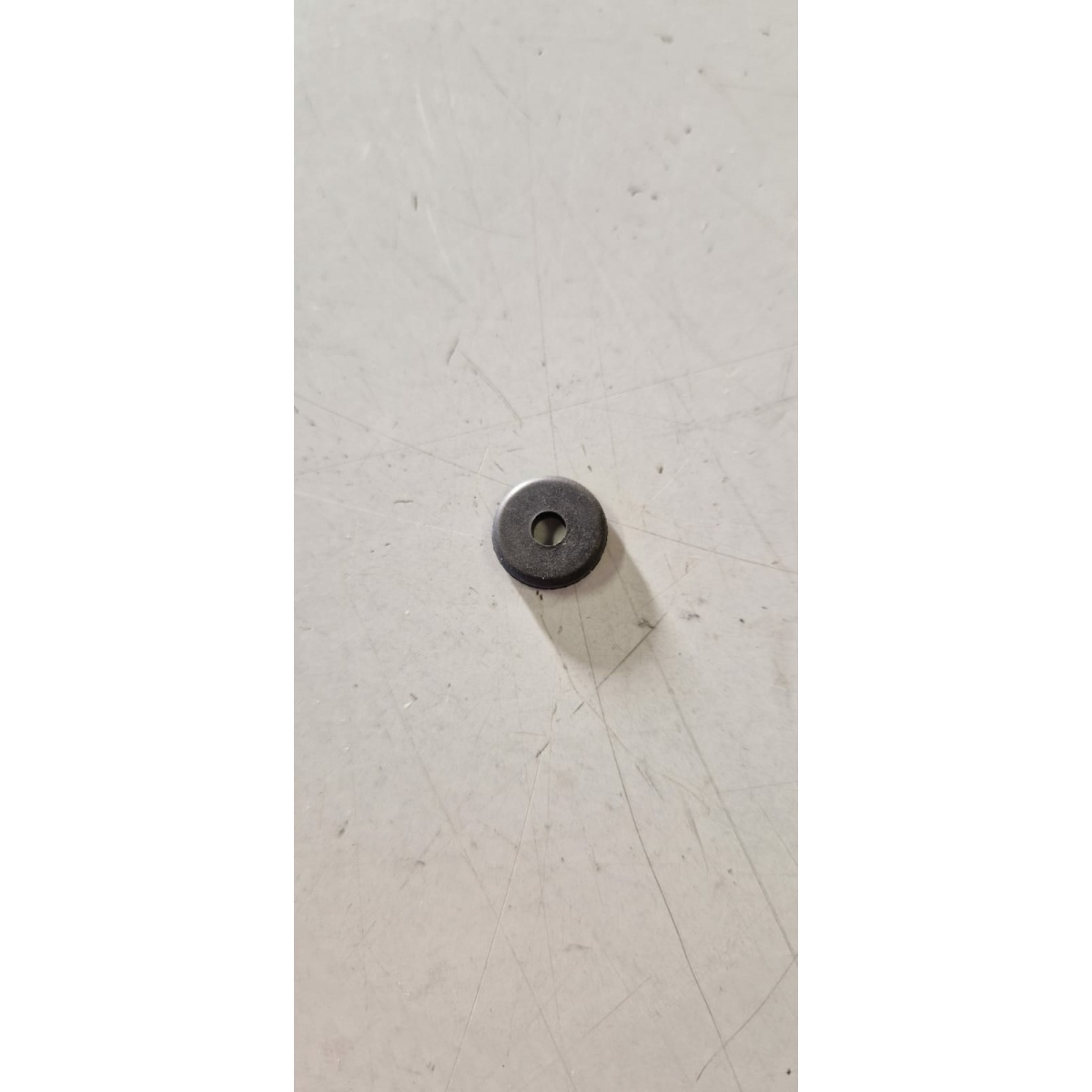 180095 TAMPONE PROFILO SCUDO (LIBERTY) - immagine 1