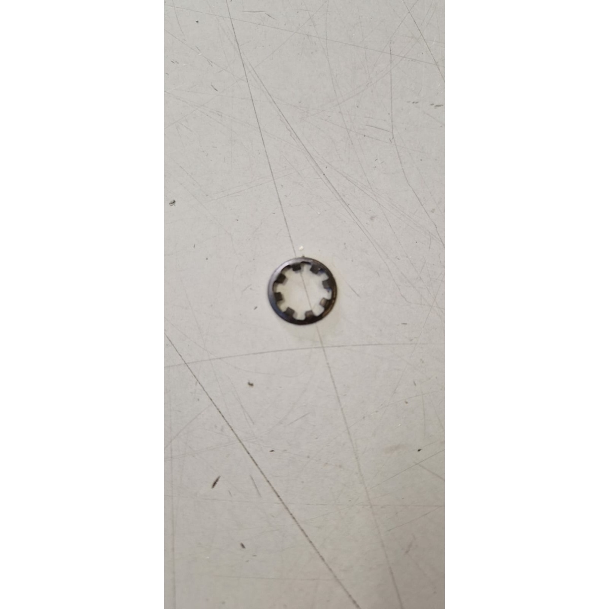 181475 PIASTRINA ELASTICA (VESPA PX) - immagine 1