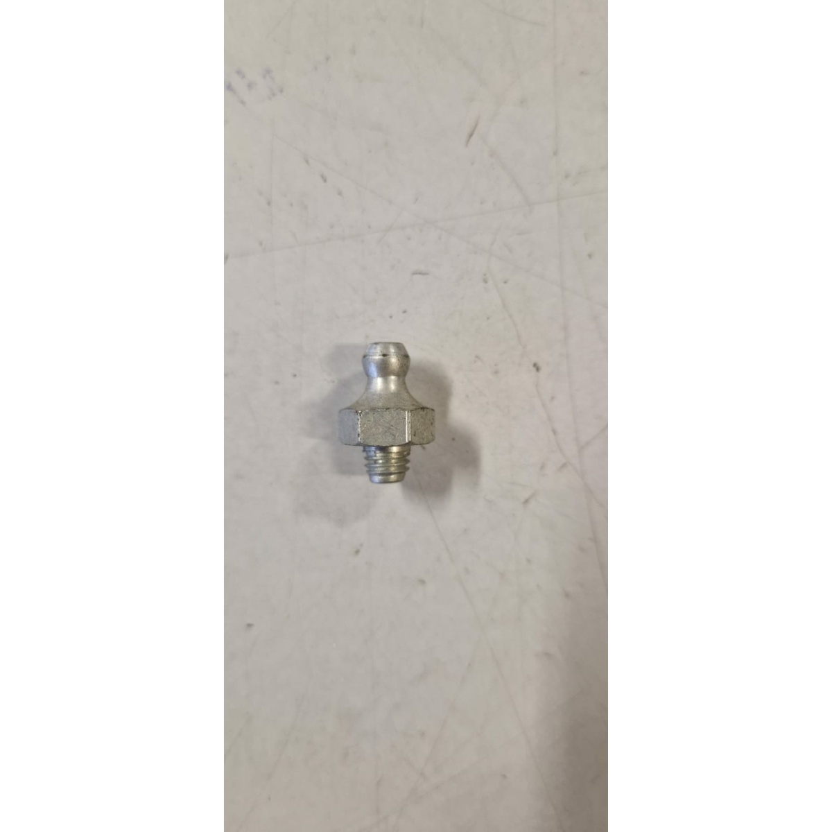 019556 INGRASSATORE (VESPA GL) - immagine 1