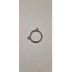 267743 RONDELLA STERZO (SI)