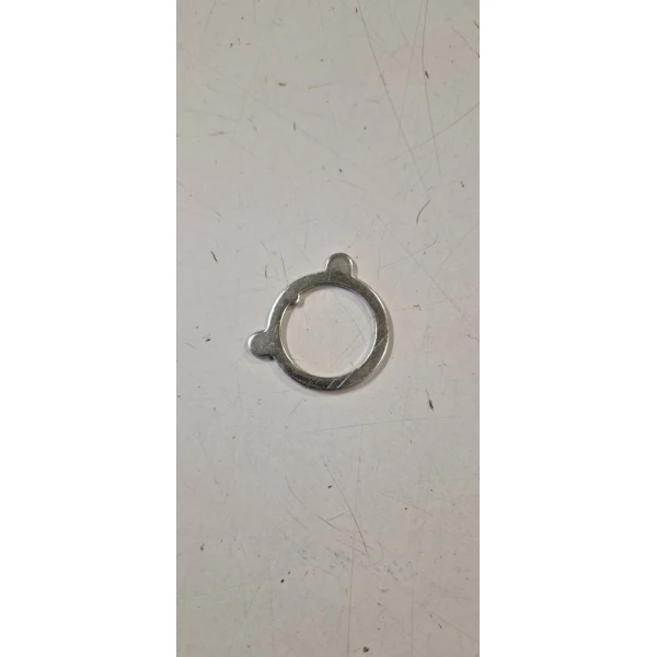 267743 RONDELLA STERZO (SI)