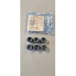 4878875 KIT 6 RULLI VAR (RUNNER 180 KAT)