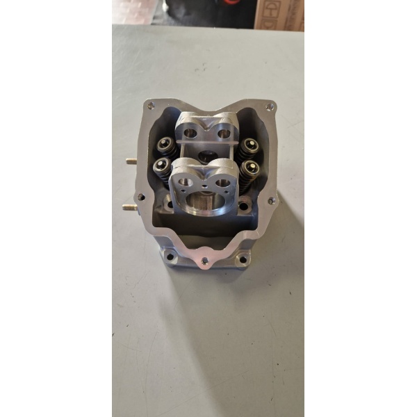 8800506 TESTA COMPLETA (MOT. 250 300cc)